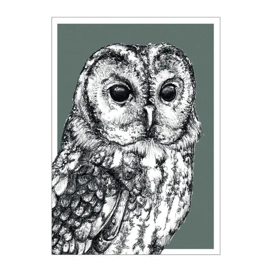 BDdesigns - Wildtier-Eulenkarte