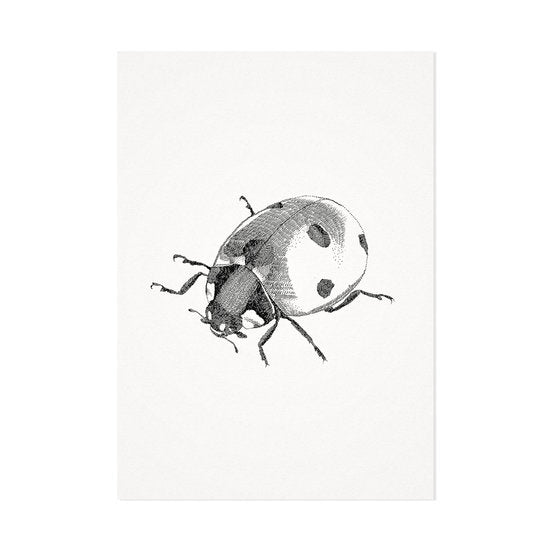 Mélisse - Card The Ladybug