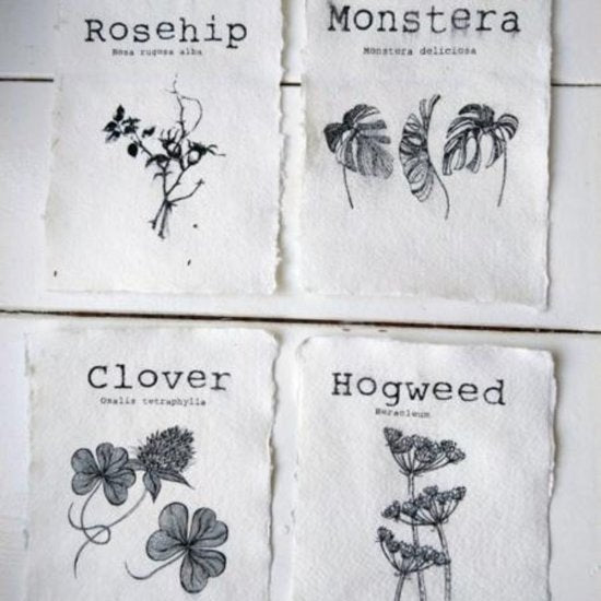 Auf dem Dachboden – Botanische Karten (4er-Set)
