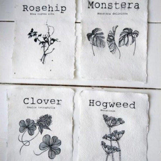 Auf dem Dachboden – Botanische Karten (4er-Set)