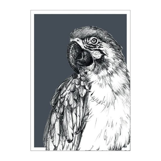 BDdesigns - Wildtier-Papageienkarte