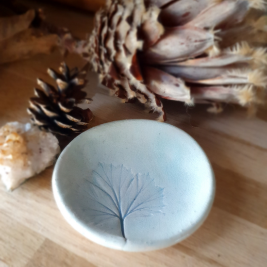 Kesemy-Design – Schale, Blatt, Meer