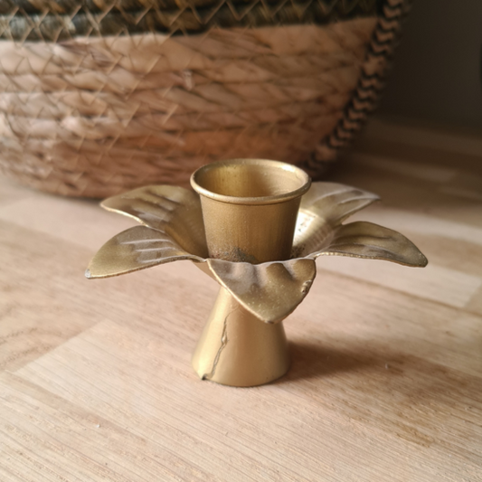Kerzenständerblume