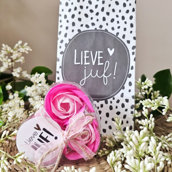 Thistle Rose – Seifenblumen Zuckerwatte, 3er-Set – Liebe Lehrerin