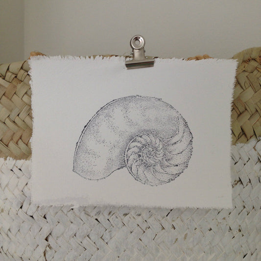 AfroDutchPaperStone - Muschelkarte