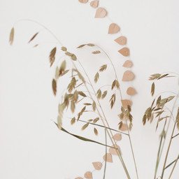 Jurianne Matter – Zweigblätter in zartem Beige