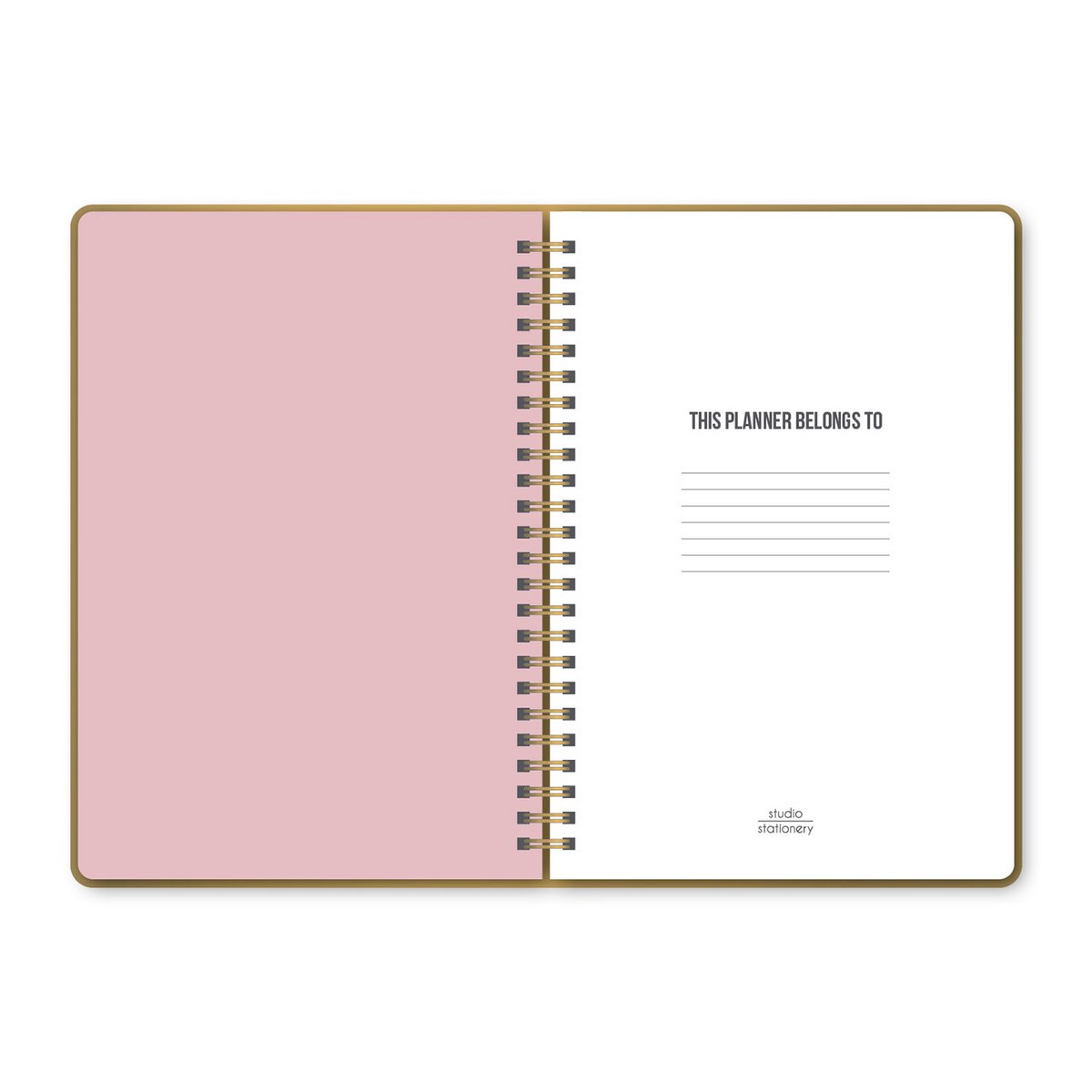 Studio Stationery – Undatierter Planer Wild &amp; Cute