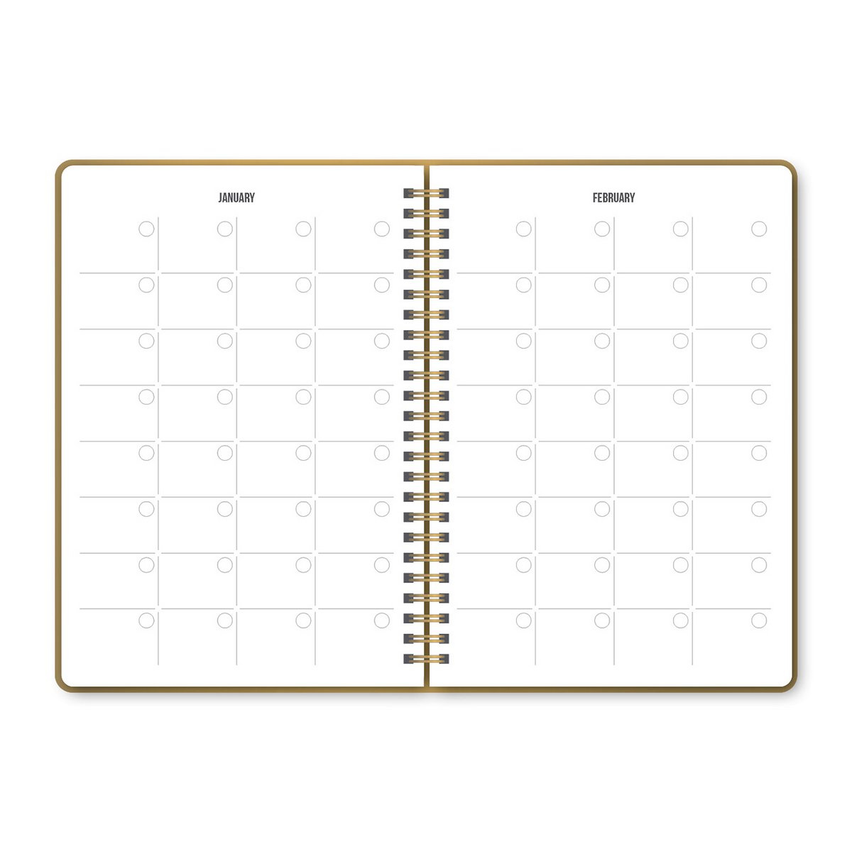 Studio Stationery – Undatierter Planer Wild &amp; Cute